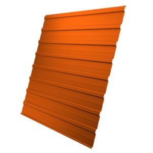 Профнастил С10R 0,45 PE RAL 2004 оранжевый
